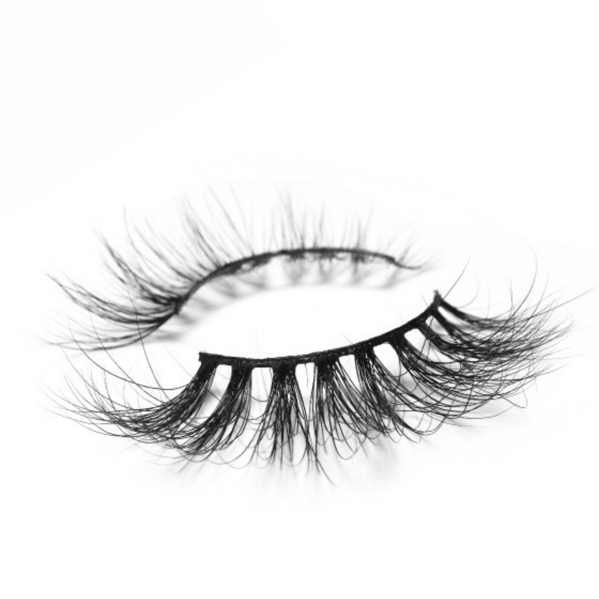 Women's Audacious Lash