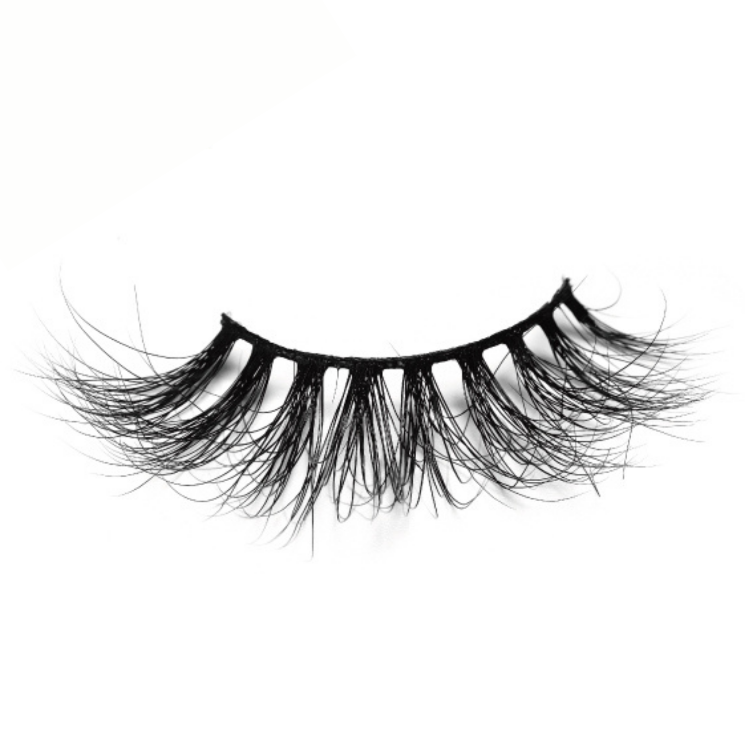 Women's Audacious Lash