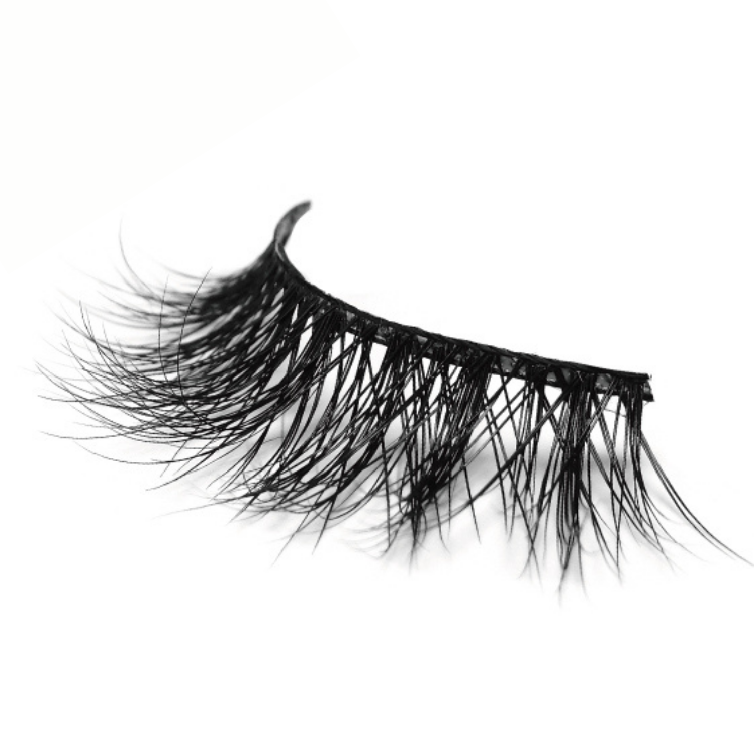 Independent Eye Lash