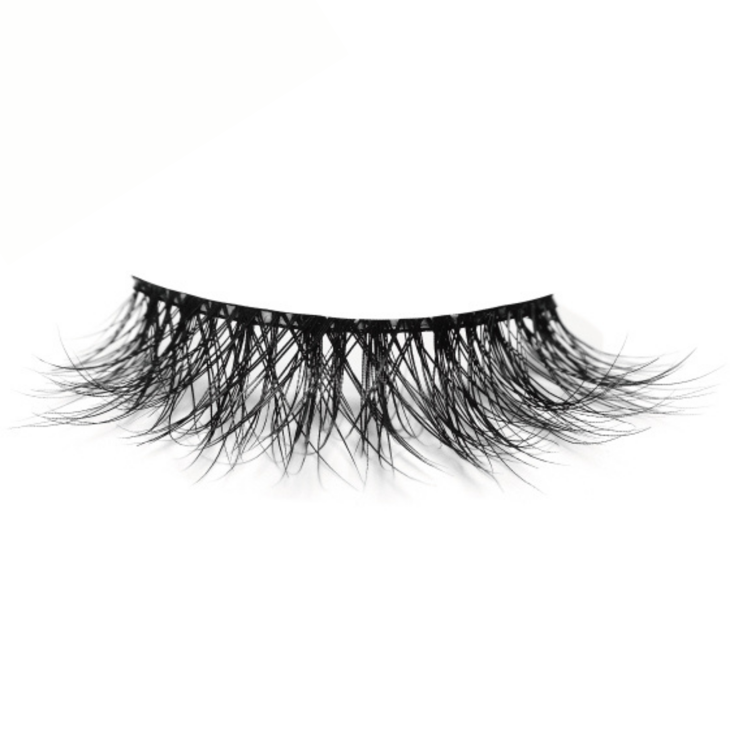 Independent Eye Lash