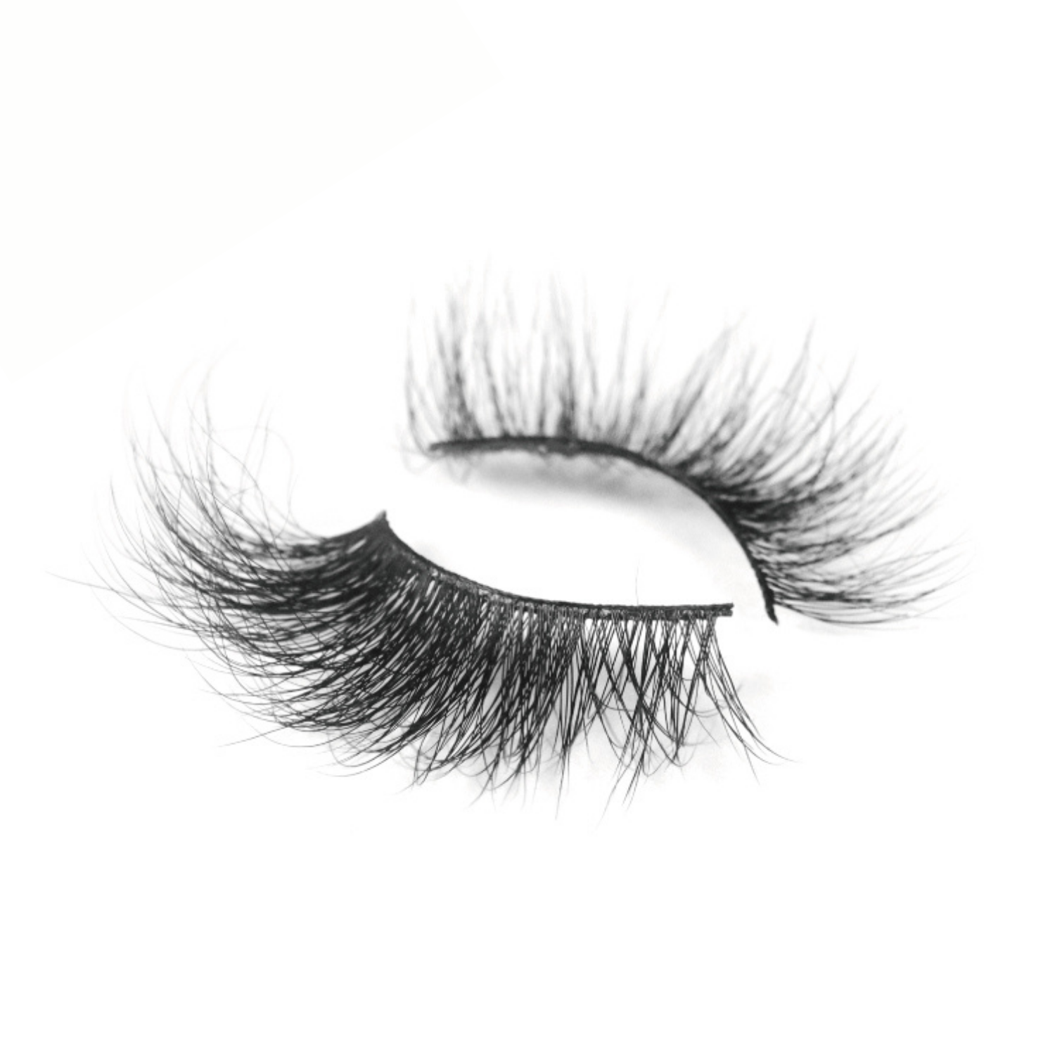 Super Long Lash