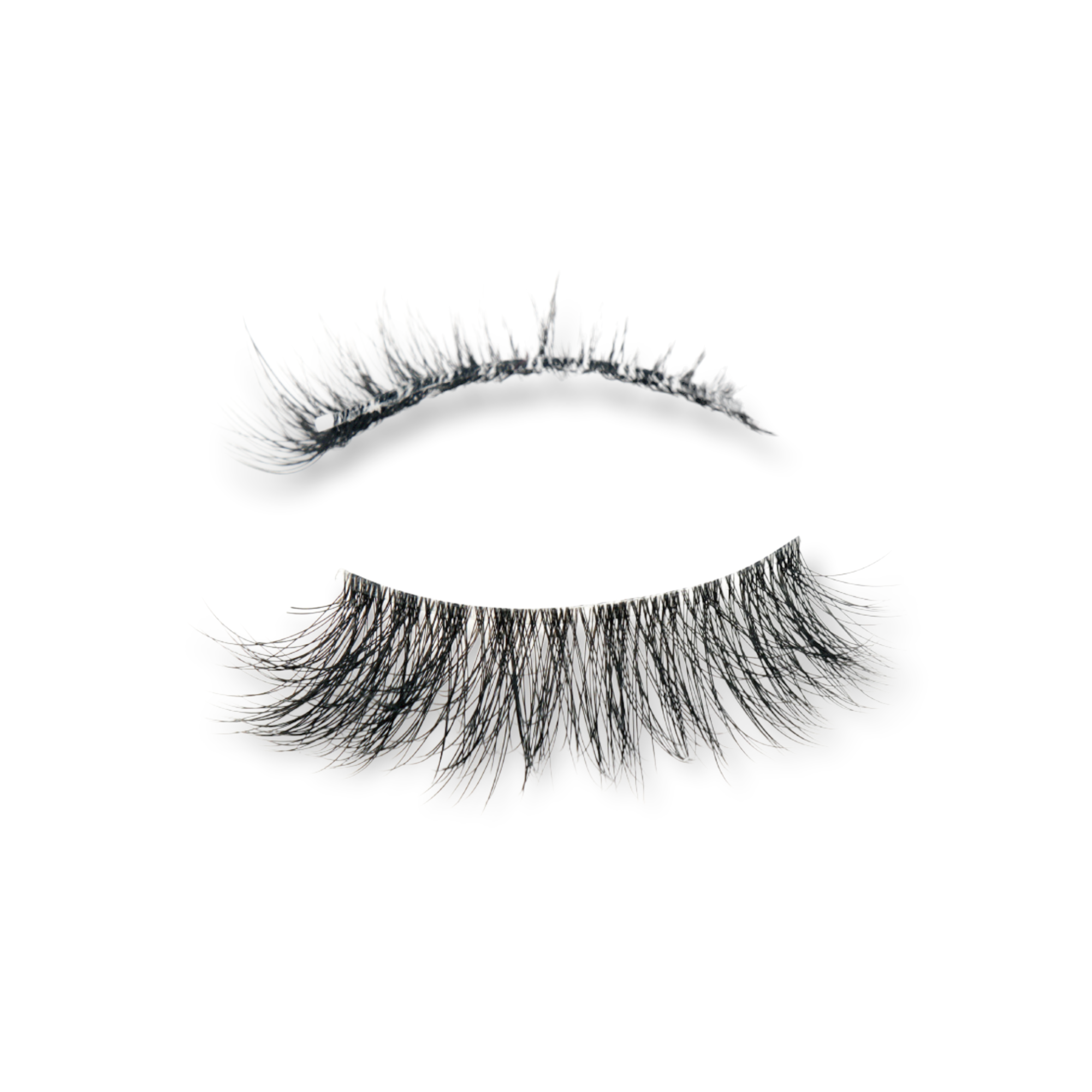 Case Closed Lash