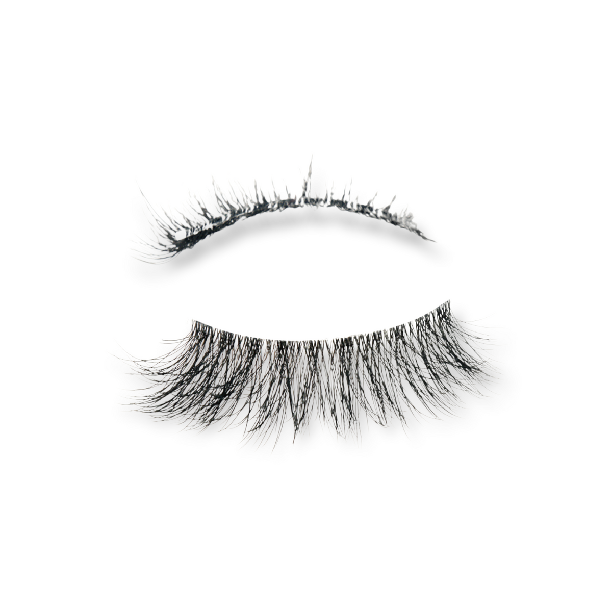 Case Closed Lash