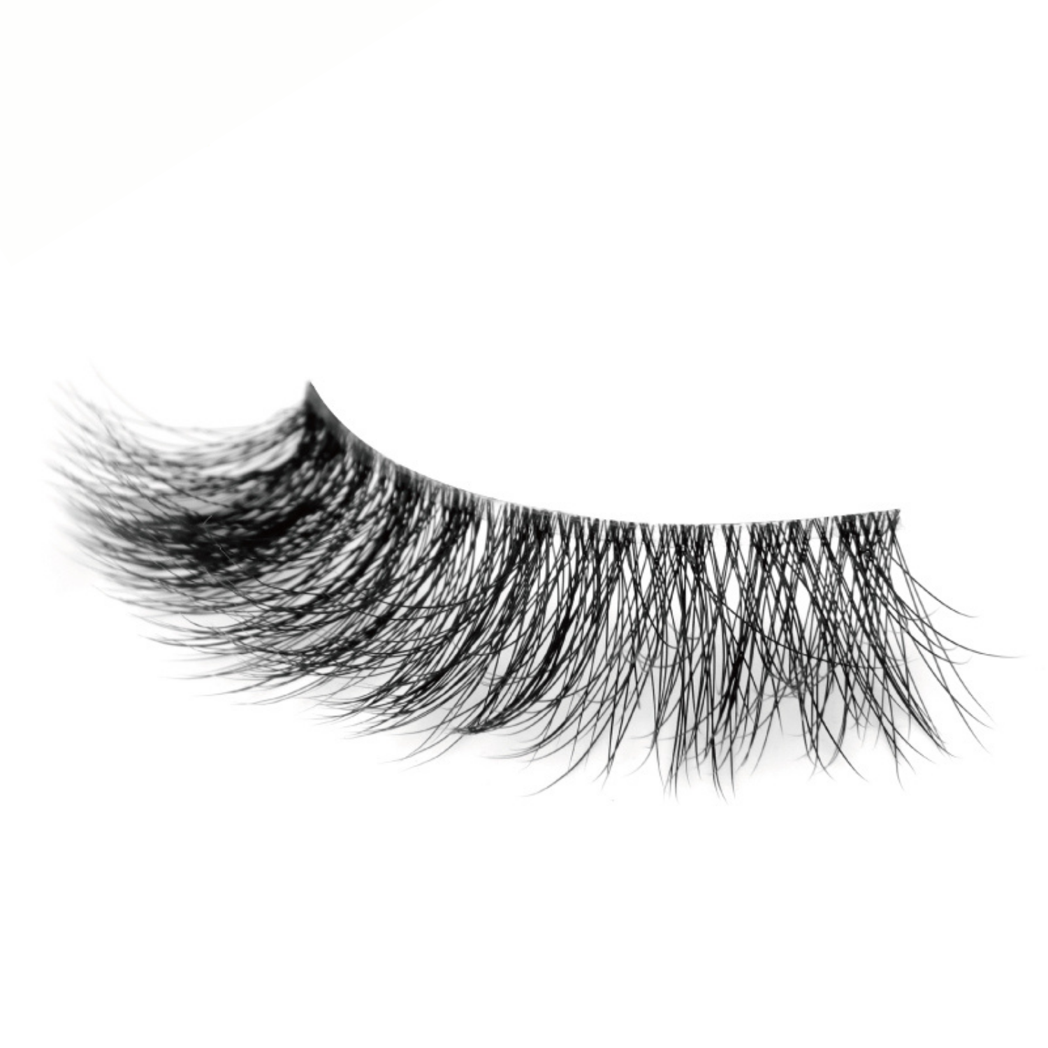 Case Closed Lash