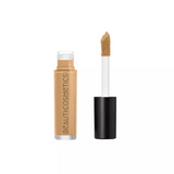 Natural Finish Satin Concealer